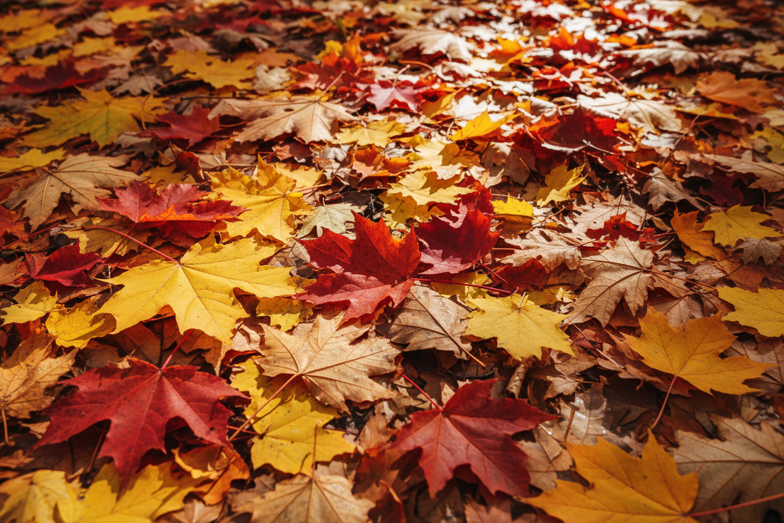 Les secrets pour préparer sa peau à l'automne